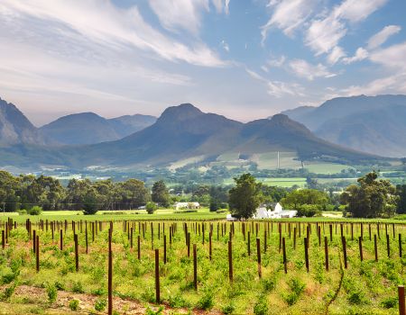 Franschhoek