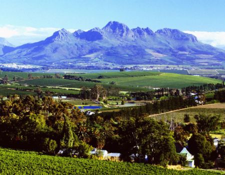 Stellenbosch